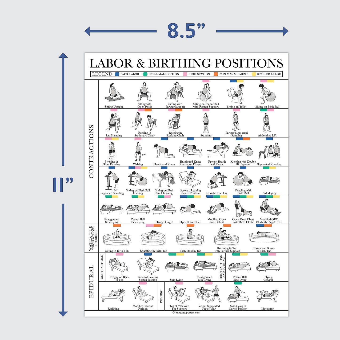 Labor & Birthing Positions Tearsheet Handout - Childbirth Education for Doula, Midwife or Birthworker