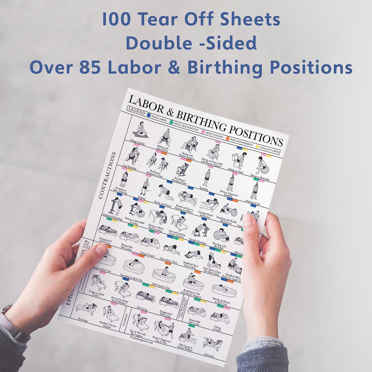 Labor & Birthing Positions Tearsheet Handout - Childbirth Education for Doula, Midwife or Birthworker