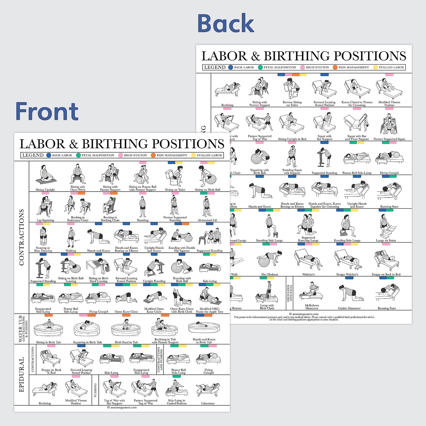 Labor & Birthing Positions Tearsheet Handout - Childbirth Education for Doula, Midwife or Birthworker