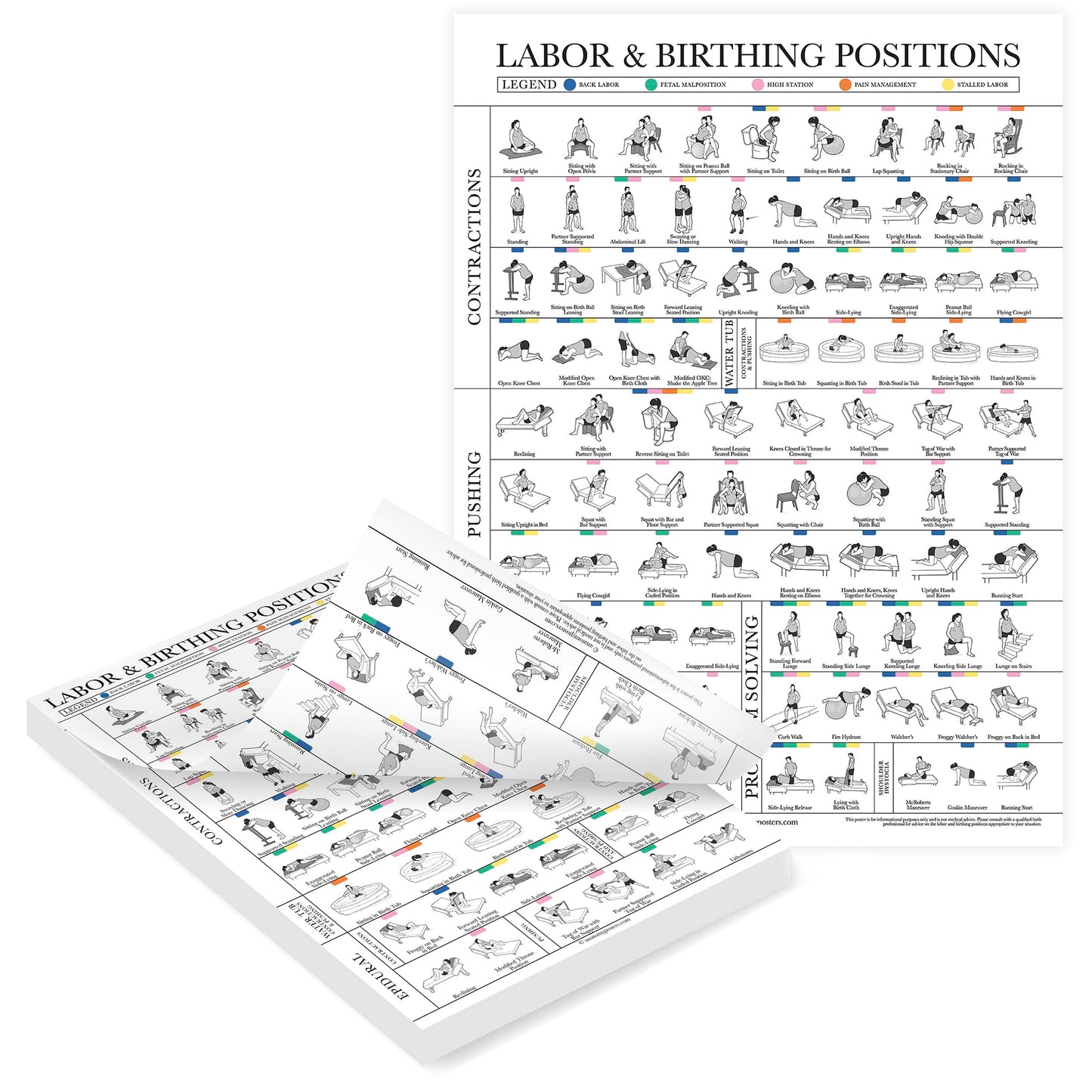 Labor & Birthing Positions Tearsheet Handout - Childbirth Education for Doula, Midwife or Birthworker