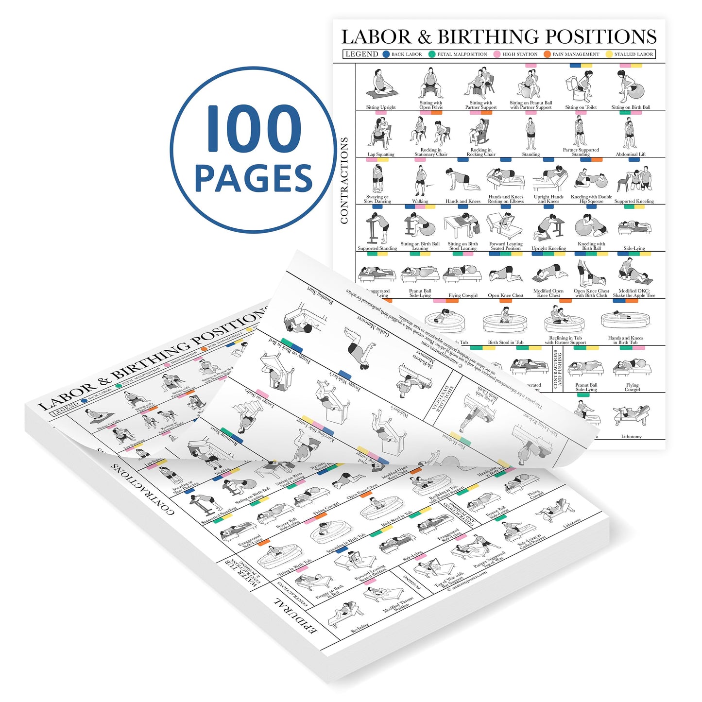 Labor & Birthing Positions Tearsheet Handout - Childbirth Education for Doula, Midwife or Birthworker