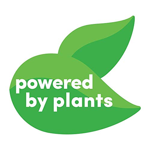 Detergente para roupas infantis à base de plantas Dapple