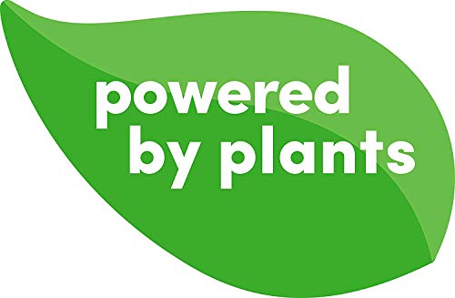 Dapple Baby - Jabón vegetal para biberones y platos
