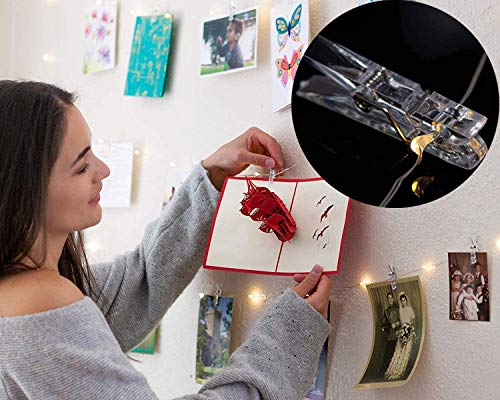 Sparkle Lights Photo Clips for Labour Setting Decor (Warm White) (30 LED)