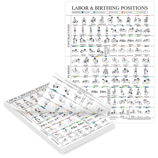 Labor & Birthing Positions Tearsheet Handout - Childbirth Education for Doula, Midwife or Birthworker